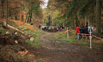 Cross départemental course 3