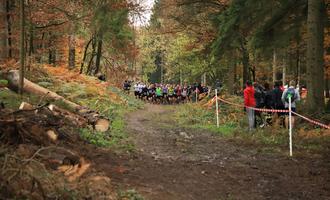 Cross départemental course 3