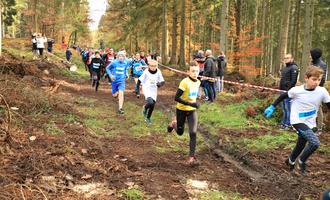 Cross départemental course 1