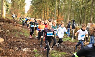 Cross départemental course 1