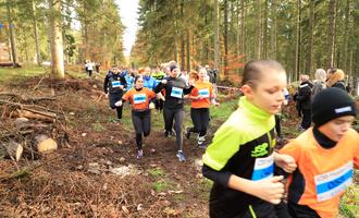 Cross départemental course 1