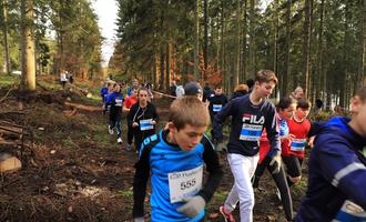 Cross départemental course 1