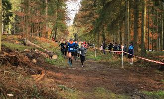 Cross départemental course 2