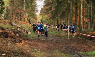 Cross départemental course 2