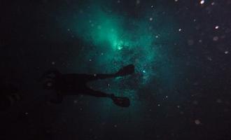 Les plongeurs en entrainement à NEMO 33