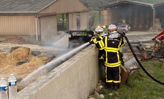 100 bêtes et 3500 m² d'exploitation agricole sauvés des flammes