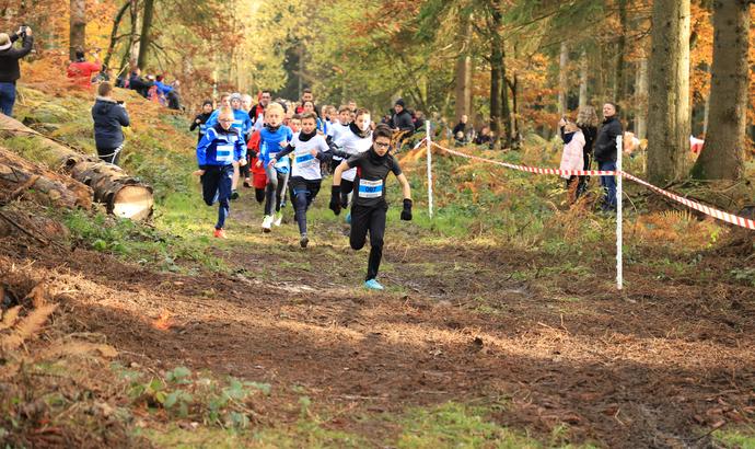 Cross départemental course 1